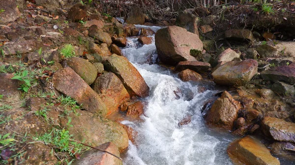 Stock image A Small Stream With A Waterfall In The Forest In Summer