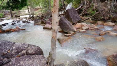 Dağ Şelalesi ve Endonezya Yağmur Ormanı 'ndan Taze Nehir Akıyor