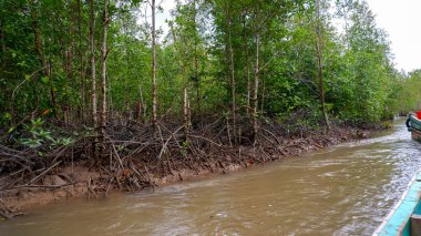 Endonezya 'nın Belo Laut Köyü' nde Doğal Nehir Akışı, Mangrov Ormanı Ekosistemi ve Balıkçı tekneleri