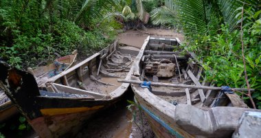 Nehir ve Nipa Ormanı tarafından hasar gören üç eski balıkçı teknesi.