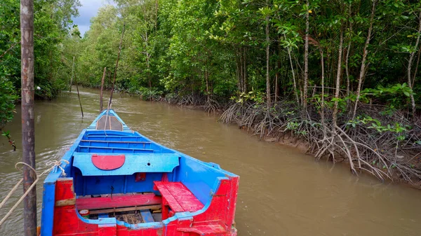 Endonezya 'nın arka planında nehir ve mangrov ormanları tarafından demirlenmiş kırmızı ve mavi renkli bir balıkçı teknesinin görüntüsü.