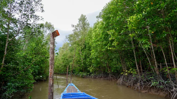 Yeşil ve yoğun Mangrove Ormanı ve Endonezya 'nın Belo Laut Köyü' ne demirli balıkçı tekneleri.