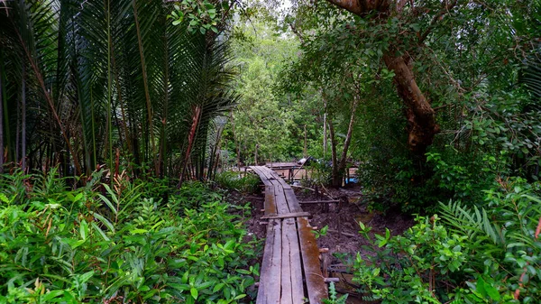 Vista Uma Pequena Ponte Pés Que Leva Riacho Está Floresta — Fotografia de Stock