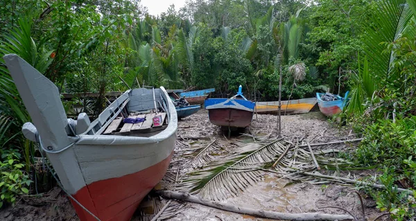 Bir grup balıkçı teknesi Endonezya, Tropikal Orman ve Nehir kenarına park etti.