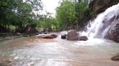 Güzel Tropikal Ormanda Şelale Nehre Akıyor
