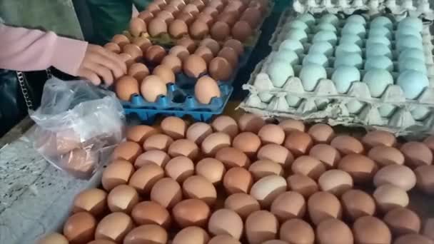バイヤーはインドネシアのムントック市の伝統的な市場で卵を選択しています — ストック動画