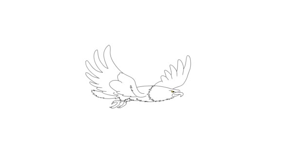 Animation Movement Eagle Flight Isolated White Background Colorless Hand Drawn — Stock Video