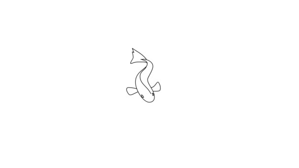 Animation Movement Swimming Fish Isolated White Background Colorless Hand Drawn — Stock Video