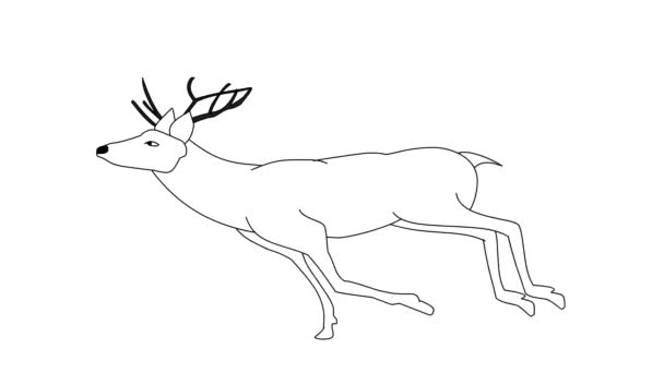 Motion Animation Running Deer Sur Fond Blanc Isolé Animation Dessinée — Video