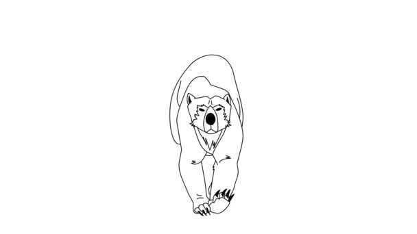 Animovaný Pohyb Běžícího Medvěda Izolovaném Bílém Pozadí Bezbarvá Ručně Kreslená — Stock video