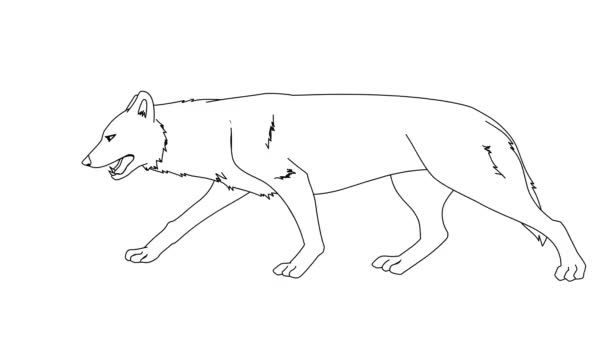 歩行犬のアニメーションの動き 隔離された白い背景に 無色の2D手描きアニメーション — ストック動画