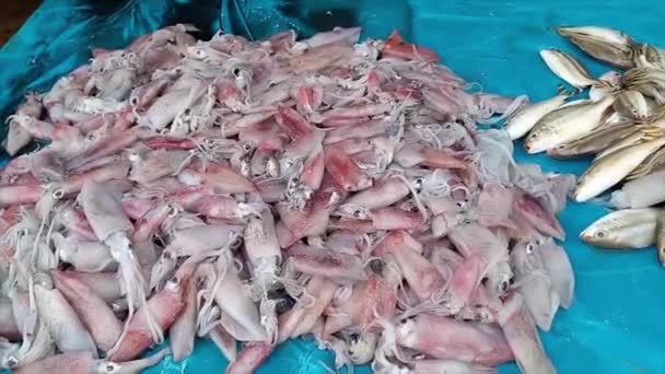 Högar Bläckfisk Och Fisk Marknad Staden Muntok Indonesien — Stockvideo