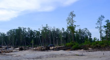 Eski bir teneke madeninin kumlu arazisi, Mangrove ormanları ve arka planda açık gökyüzü olan Belo Laut köyünde, gün boyunca