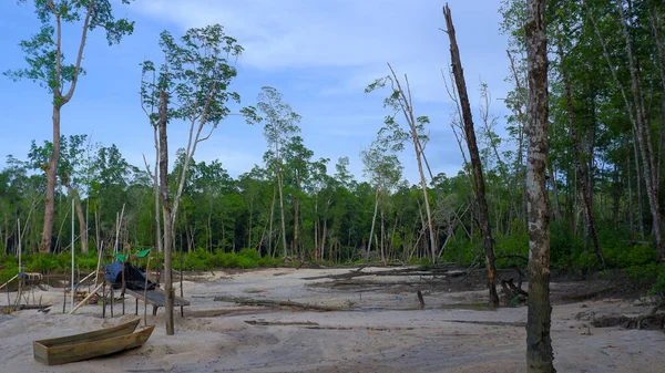 Gündüzleri Belo Laut köyünde hasarlı mangrov ormanlarının çorak bir arazisi görülüyor.
