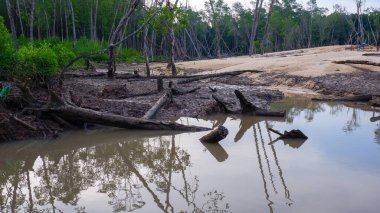 Endonezya 'nın Belo Laut Köyü' nün Mangrove Ormanı 'ndaki Teneke Kum Madenciliğinden Kirlenmiş ve Murky Nehri