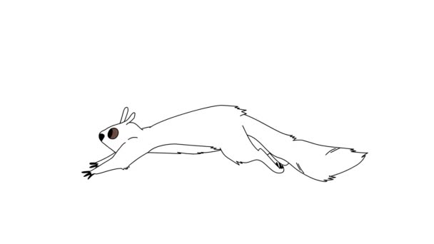 Animation Horse Running Part White Isolated Background Inglés Animación Dibujada — Vídeo de stock