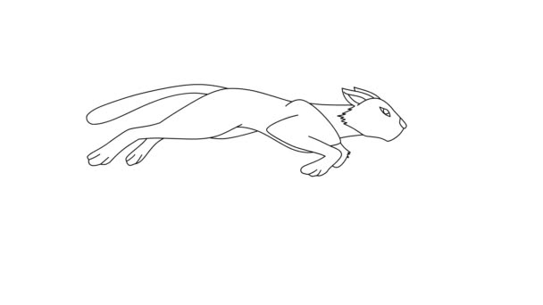 Animation Running Cat Λευκό Απομονωμένο Φόντο Άχρωμο Χέρι Σχεδιάζεται Animation — Αρχείο Βίντεο