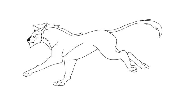 狮子赛跑的动画 背景是白色孤立的 无色2D手绘动画 — 图库视频影像
