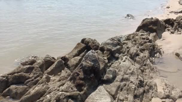 Grandes Rocas Naturales Playa Marea Baja Durante Día Ciudad Muntok — Vídeo de stock