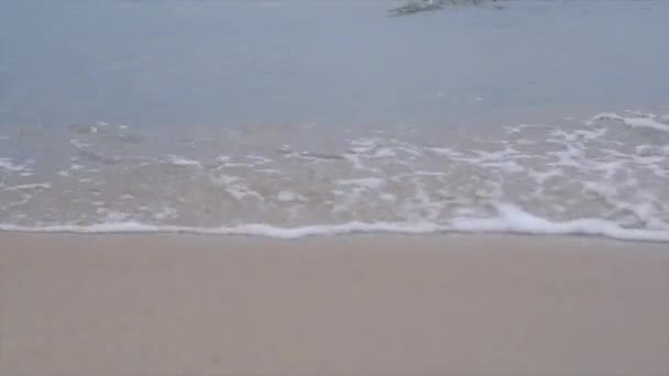 下午海滩上平静的小海浪中的海面 — 图库视频影像