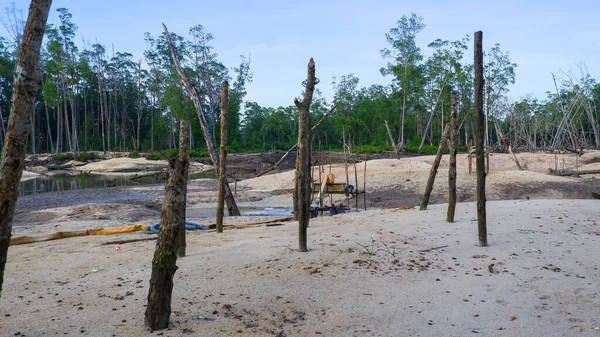 Gündüz vakti Belo Laut köyünde yasadışı kum madenciliği nedeniyle verimsiz bir Mangrove Ormanı manzarası