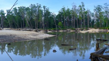 Gündüz vakti Belo Laut köyünde, Mangrove ormanındaki teneke kum madenciliğinden oluşturulan göl.