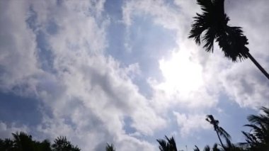 Koyu bulutlar ve ağaç siluetleriyle Temiz Gökyüzü manzarası, Sol Pan Hareketi