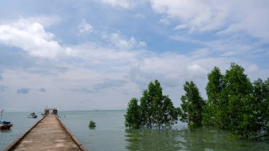 Gündüzleri Belo Laut köyünde, birkaç tekne ve Avicennia Marina Ağacı 'yla birlikte...