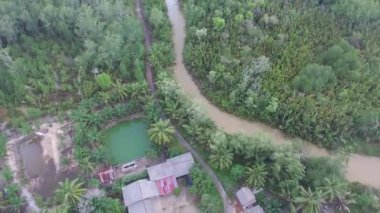 Mangrove Ormanı, Nypah Ormanı ve Nehir üzerindeki İHA görüntüsü gün boyunca Belo Laut Köyü 'nde.