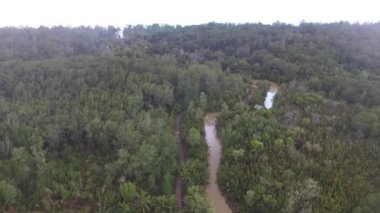 Gündüz vakti Belo Laut Köyü 'nde Mangrove Ormanı, Nipa Ormanı ve Nehir Akışı Hava Görüntüsü