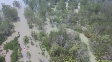 Manzaranın üstünde, tropikal mangrov ormanı yüksek gelgit sırasında deniz suyuyla kaplanır.