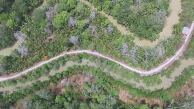 Gündüz vakti Belo Laut Köyü 'nde Mangrove Ormanı, Nipa Ormanı ve Nehir Akışı' nın Yüksek Açısı 'ndan Hava Görüntüsü