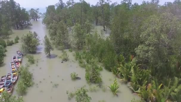 Kilátás Drónból Tengeri Víz Dagálykor Mangrove Erdőben Néhány Halászhajóval Belo — Stock videók