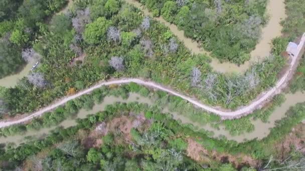 Luftaufnahme Aus Dem Hochwinkel Des Mangrovenwaldes Des Nipa Waldes Und — Stockvideo