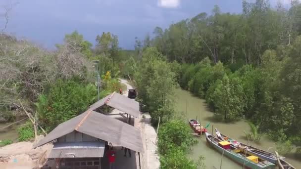 Die Aussicht Von Der Drohne Mangroven Und Flüssen Und Fischerbooten — Stockvideo