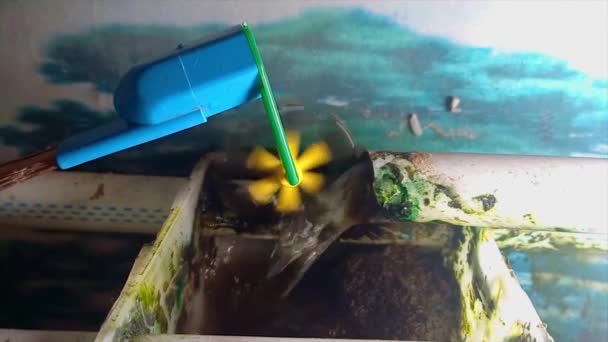 Een Miniatuur Waterrad Gemonteerd Een Huis Aquarium Het Dorp Belo — Stockvideo