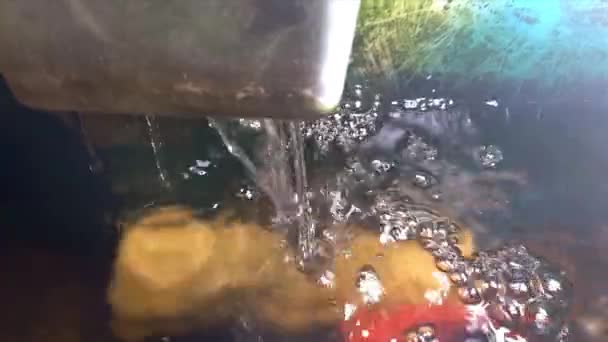 Circulación Agua Pequeño Acuario Casero Pueblo Belo Laut Indonesia — Vídeo de stock