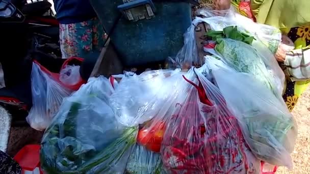 Actividades Amas Casa Que Están Comprando Vendiendo Verduras Hierbas Mañana — Vídeo de stock
