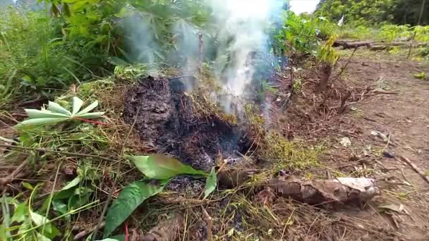 Smoke Burning Wet Grass Garden Terabik Village Indonesië — Stockvideo