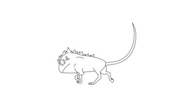 Yürüyen Bukalemun Animasyonu, Beyaz Arkaplanda İzole Edilen Çizgi Film Karakteri