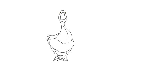 Cartoon Duck Walking Front View White Isolated Background — Stock Video