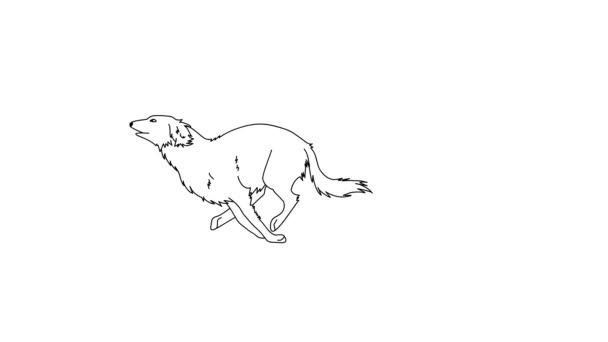 Running Dog Animal Animation Personagem Desenhos Animados Isolado Fundo Branco — Vídeo de Stock