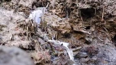 Öğleden sonra Belo Laut köyünde, kökleri ve ölü odunları olan çamurlu bir toprak duvarından akan su.