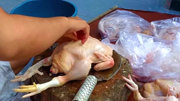 アジアの女性の手は新鮮な生の鶏の肉で羽を掃除しています — ストック動画