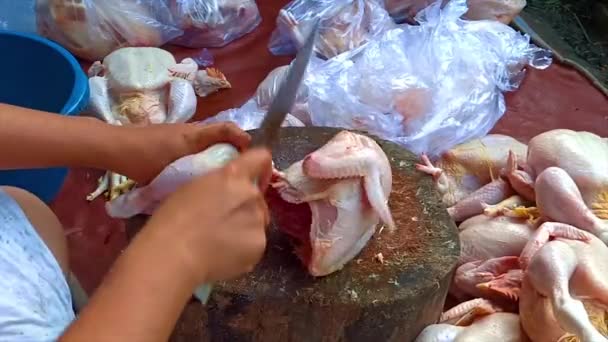 Tagliare Carne Pollo Una Persona Femminile Taglia Pollo Allevato Organicamente — Video Stock