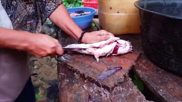 アジアの女性の手は 木のテーブルの上で生の魚の成分を処理しています — ストック動画