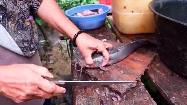Руки Азиатки Работающей Над Чисткой Сырой Рыбы Деревянном Столе — стоковое видео