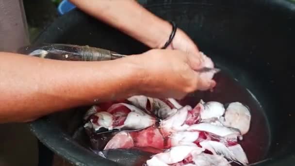 Mãos Mulher Lavando Peixes Que Foram Cortados Uma Bacia Preta — Vídeo de Stock