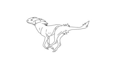 2d El Çizimi Animasyon, Hayvanın Hayvanı Hareketi (Bölüm 09) İzole Beyaz Arkaplan Üzerine