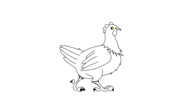Caminando Dibujos Animados Pollo Sobre Fondo Blanco Aislado — Vídeos de Stock